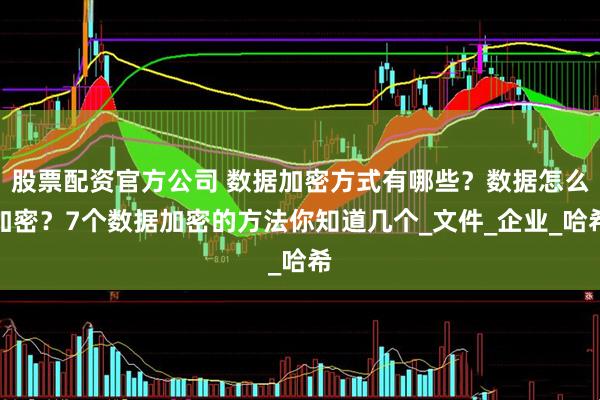 股票配资官方公司 数据加密方式有哪些？数据怎么加密？7个数据加密的方法你知道几个_文件_企业_哈希